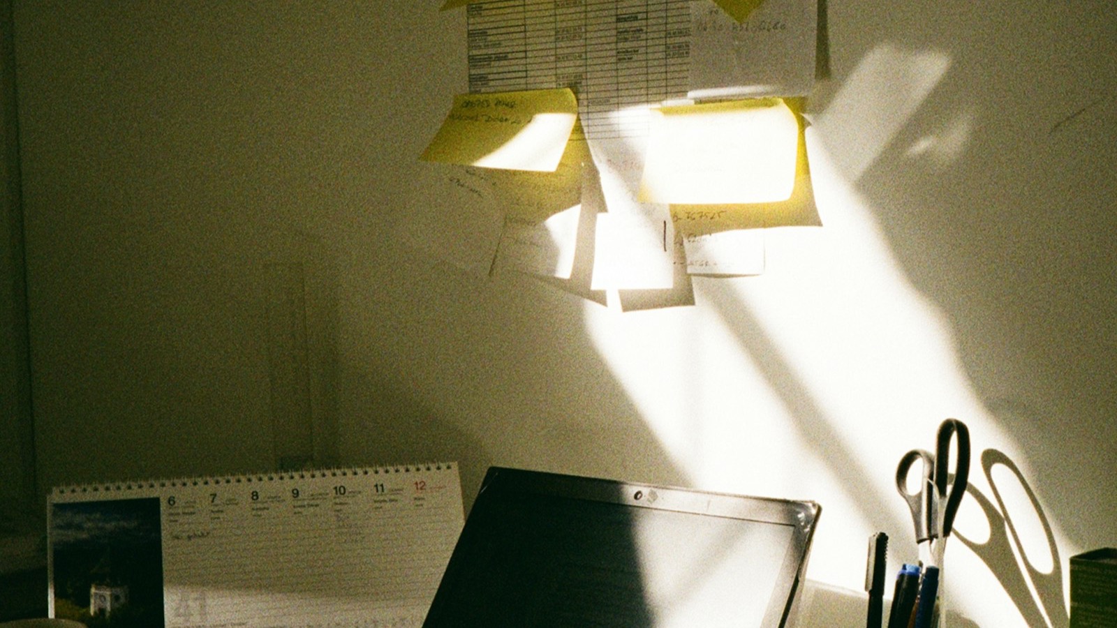 Notion vs Todoist for Life Planning and Recurring Adult Admin